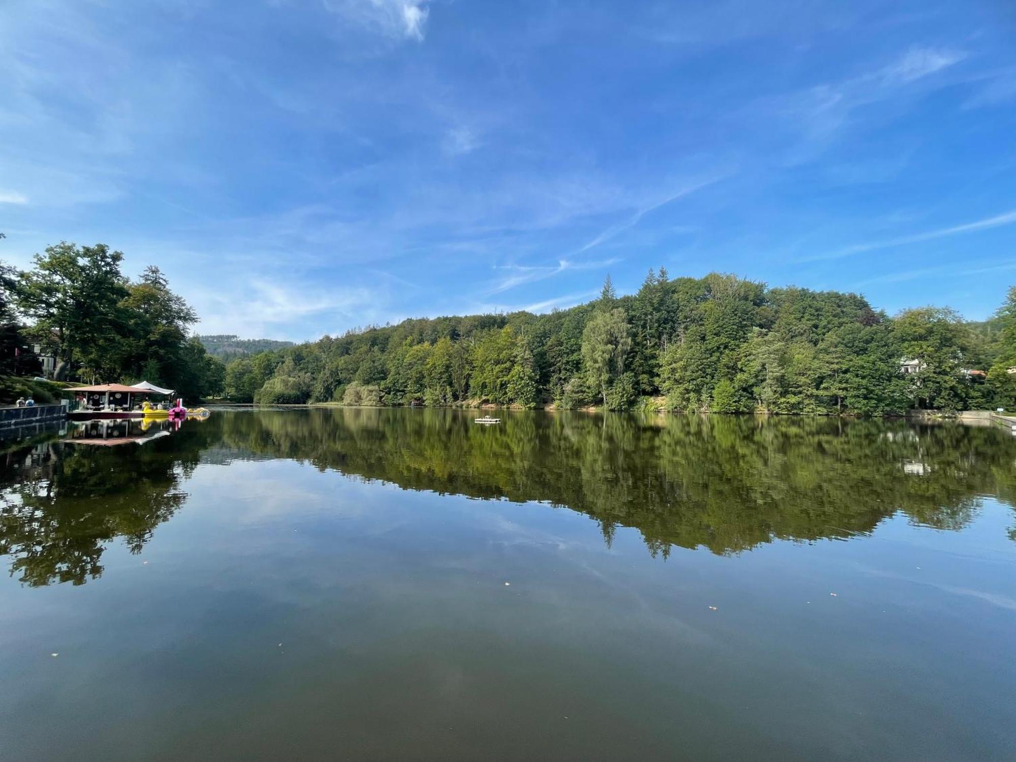 Ferienappartment "Kleine Waldpause" - Optional Mit Saunanutzung Бад-Закса Экстерьер фото